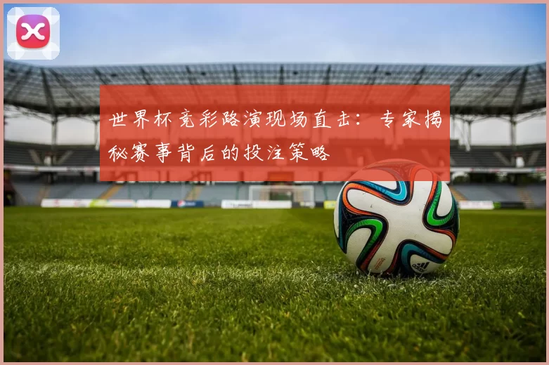 世界杯竞彩路演现场直击:专家揭秘赛事背后的投注策略