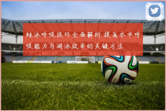 蛙泳呼吸技巧全面解析 提高水中呼吸能力与游泳效率的关键方法