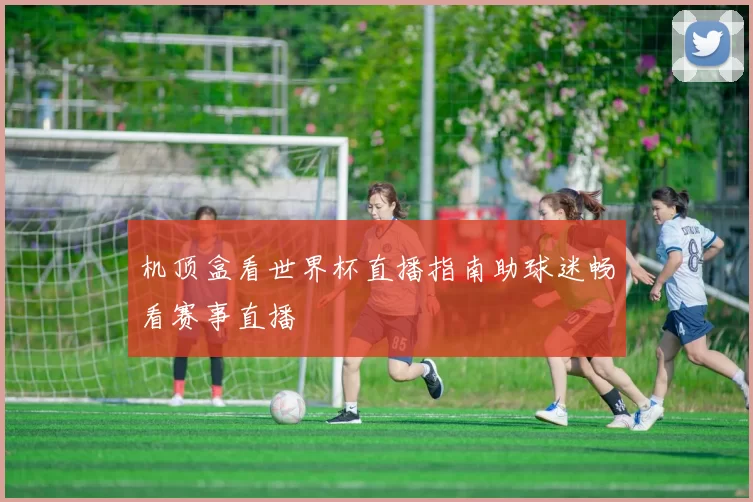 机顶盒看世界杯直播指南助球迷畅看赛事直播