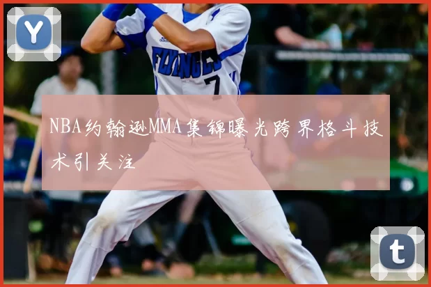 NBA约翰逊MMA集锦曝光跨界格斗技术引关注