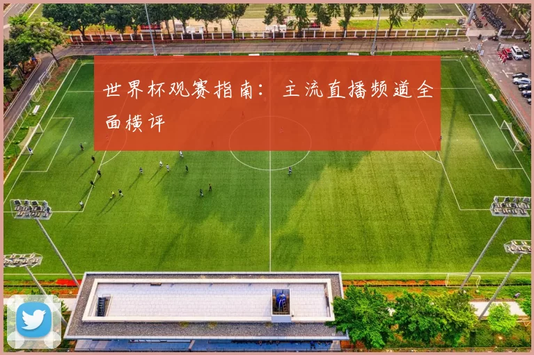 世界杯观赛指南:主流直播频道全面横评