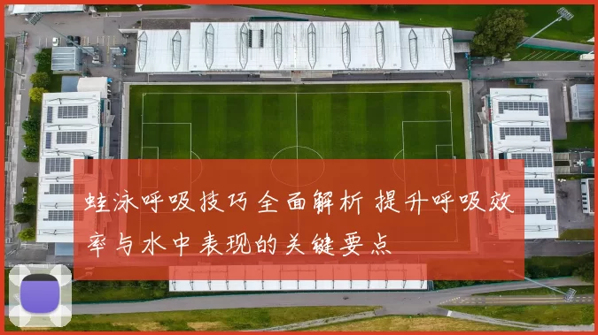 蛙泳呼吸技巧全面解析 提升呼吸效率与水中表现的关键要点