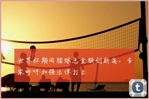 世界杯期间赌球总金额创新高，专家呼吁加强法律打击