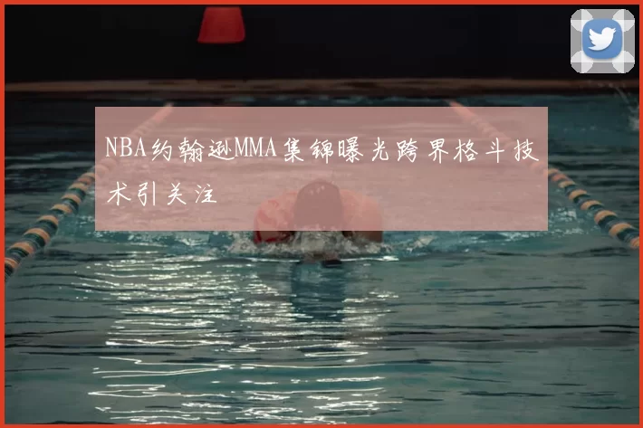 NBA约翰逊MMA集锦曝光跨界格斗技术引关注