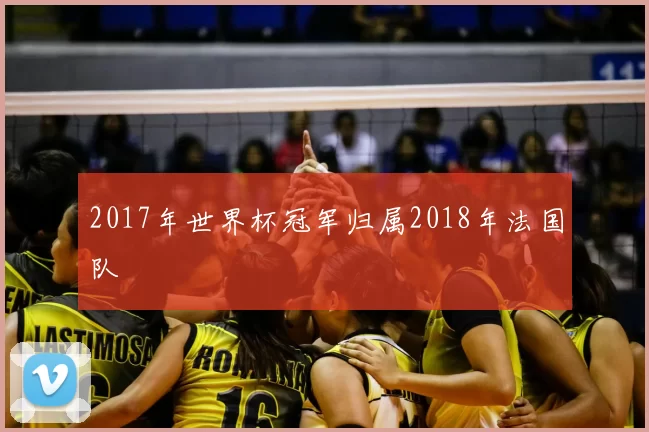2017年世界杯冠军归属2018年法国队
