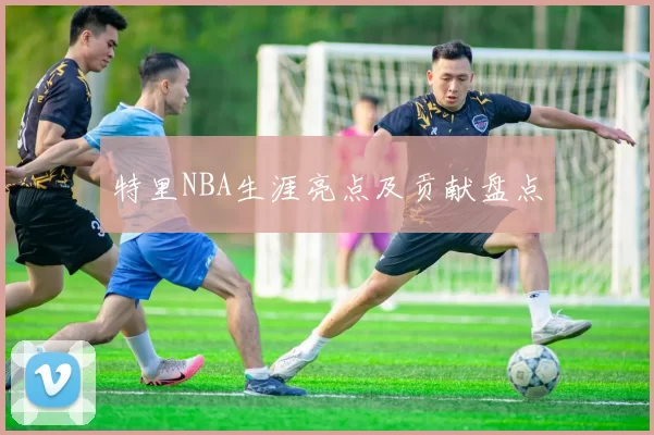 特里NBA生涯亮点及贡献盘点