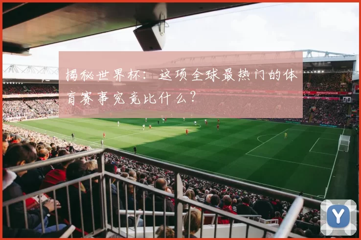 揭秘世界杯:这项全球最热门的体育赛事究竟比什么?